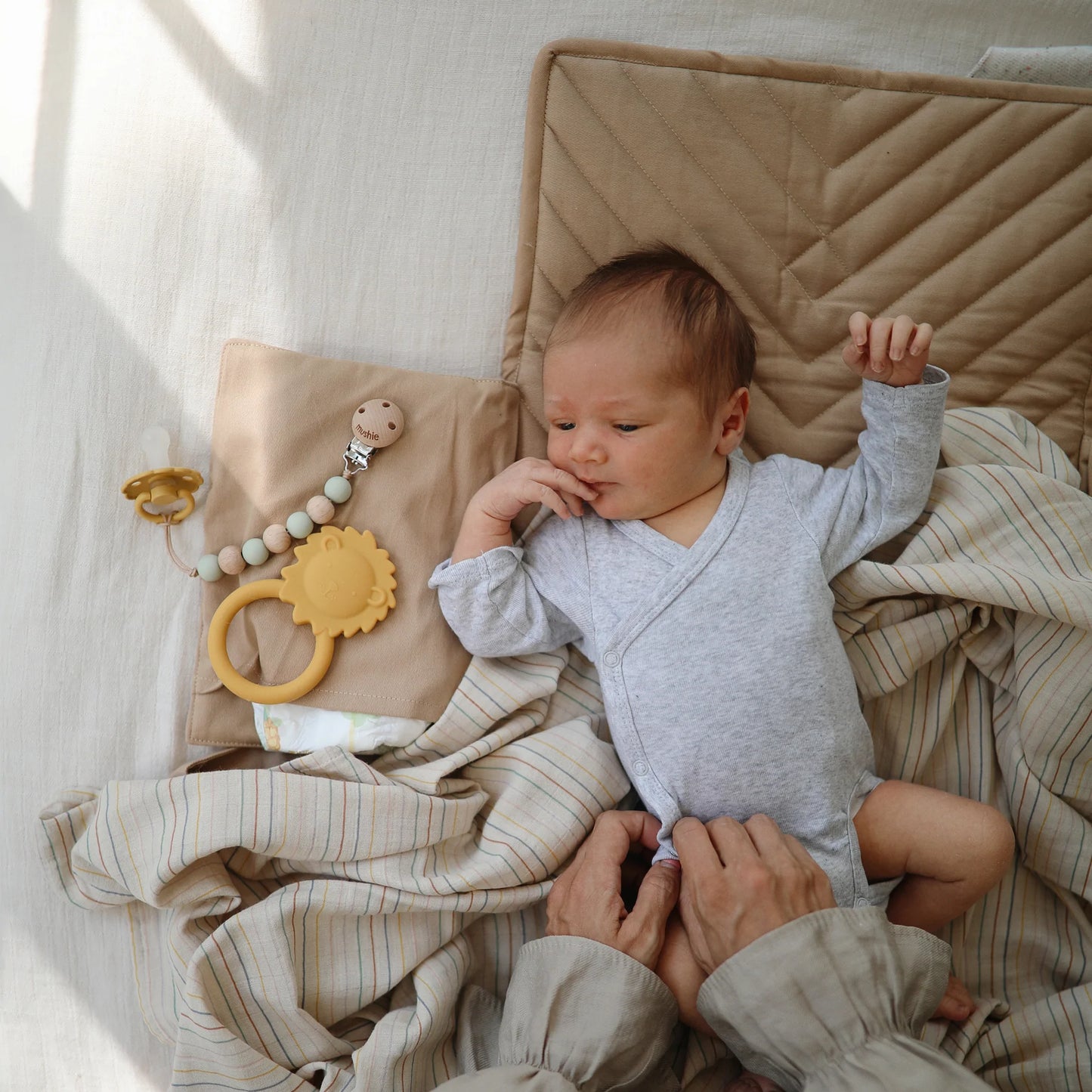 Lion Teether