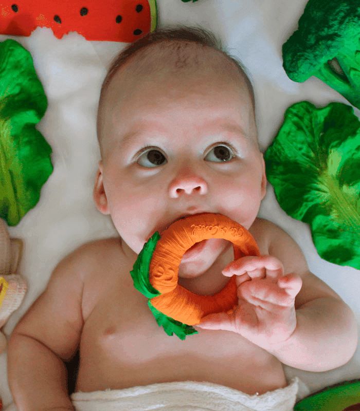 Oli & Carol Cathy The Carrot Teething Toy