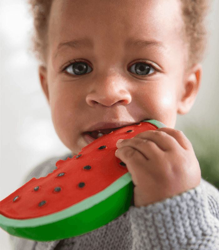 Oli & Carol Wally The Watermelon Teething Toy