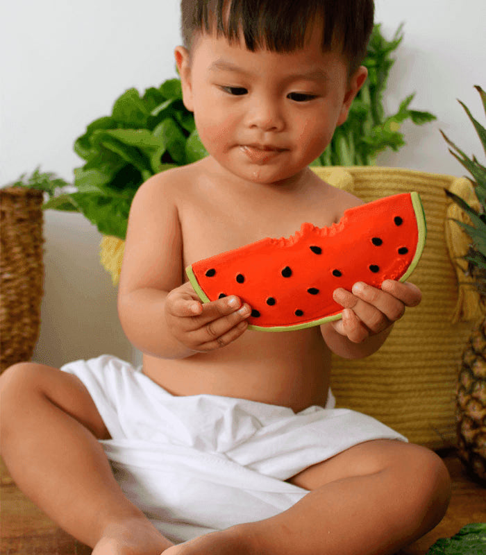 Oli & Carol Wally The Watermelon Teething Toy