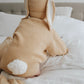 Ziggy Lou Beanie - Easter (Sand Fleck)