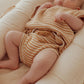 Ziggy Lou Bloomers - Golden Stripes