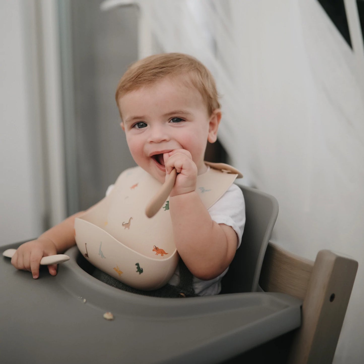 Silicone Baby Bib - Dinosaurs