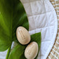 Jaclyn & Matisse Wooden Egg Shaker Pair